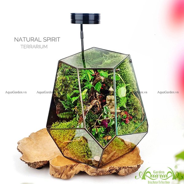Terrarium 91 - Natural Spirit - Mindful Calling