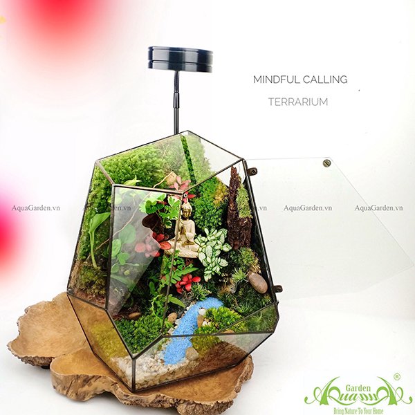 Terrarium 96 - Mindful Calling 3
