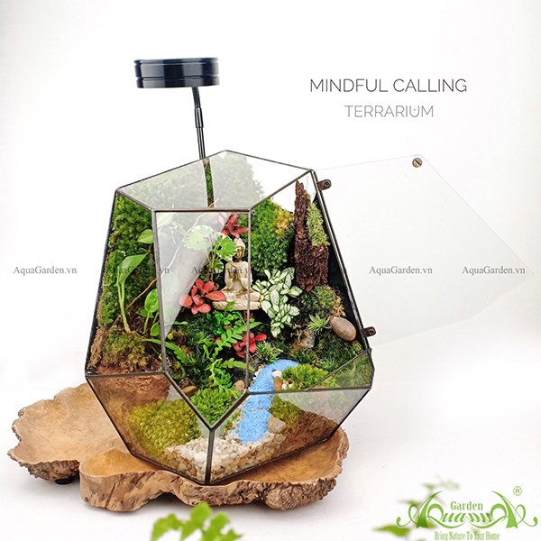 Terrarium 96 - Mindful Calling