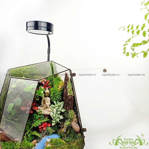 Terrarium 96 - Mindful Calling 2