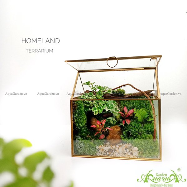 Terrarium 124 - Homeland 2