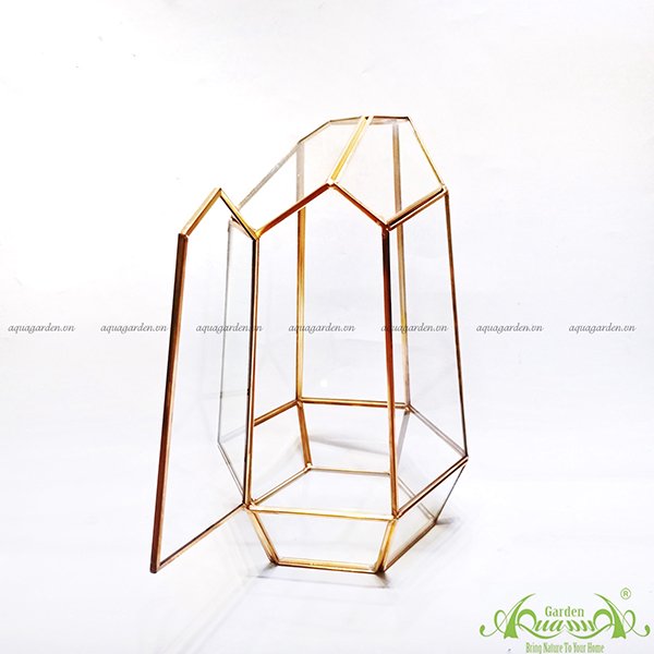 Lục Giác Nắp GOLD - TT Đa Giác 2