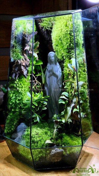 Terrarium 95 - Heart Of The Forest