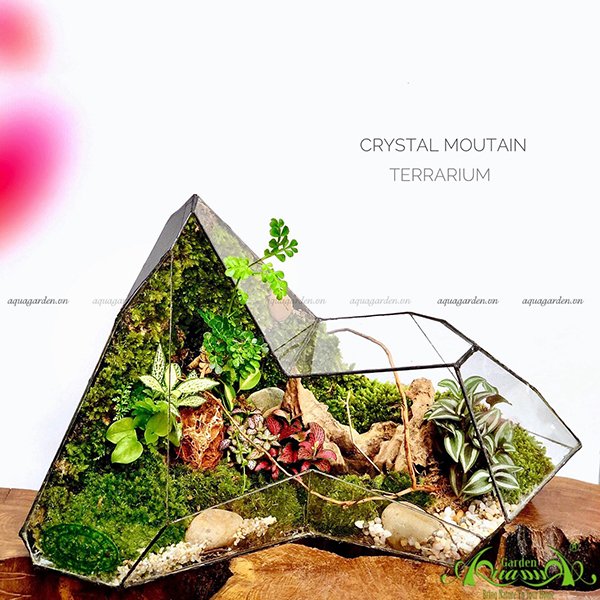 Terrarium 108 - Crystal Mountain 3