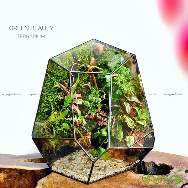 Terrarium 107 - Green Beauty 2