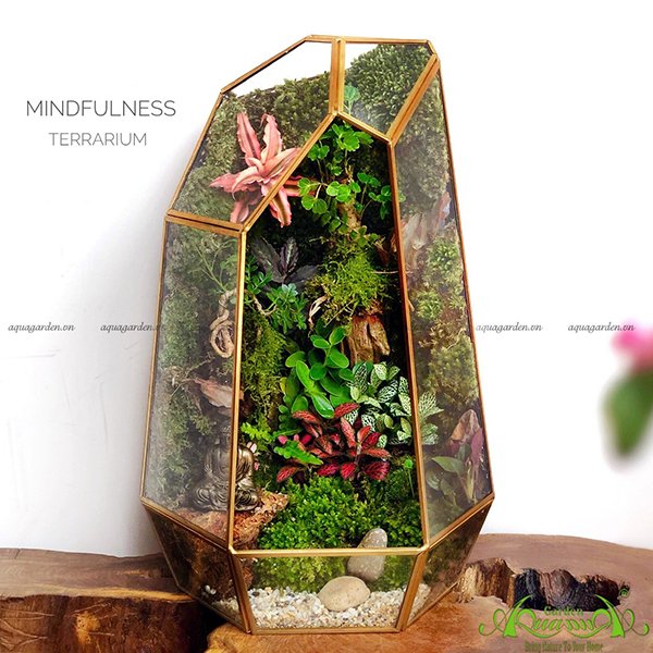 Terrarium 98 - Mindfulness 2