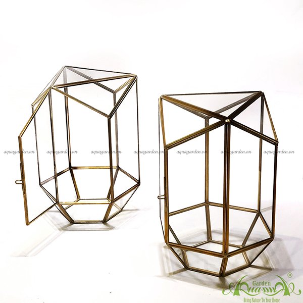 Lục Giác Nắp Khối GOLD - TT Đa Giác 2