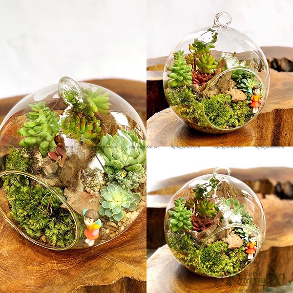 Terrarium 01 - Enjoy The Journey 2