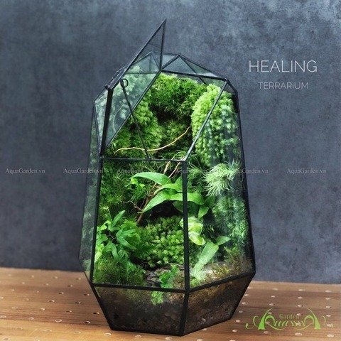 Terrarium 119 - Vùng Trời Bình Yên 2
