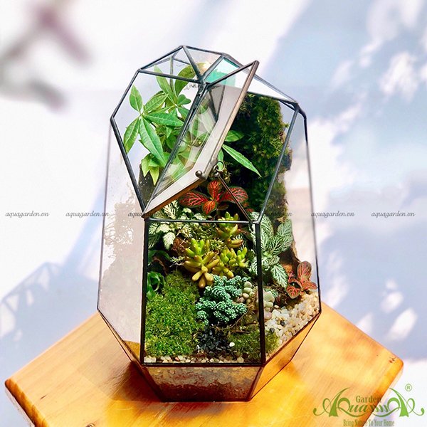 Terrarium 39 - Khu Vườn Nhà Kính