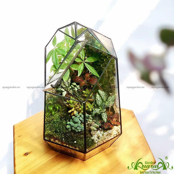 Terrarium 39 - Khu Vườn Nhà Kính 2