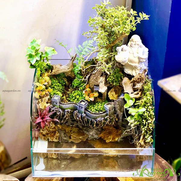 Terrarium 36 - Đồi Tiên Cảnh 2