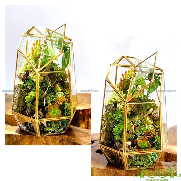 Terrarium 33 - Vườn Tài Lộc 2