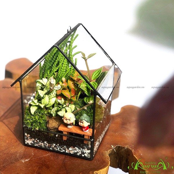 Terrarium 27 - Đưa Em Về Thanh Xuân 2
