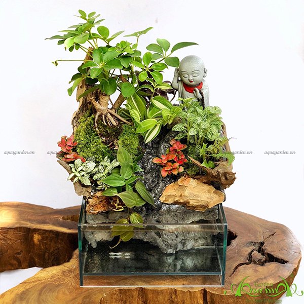 Terrarium 24 - Thác An Nhiên