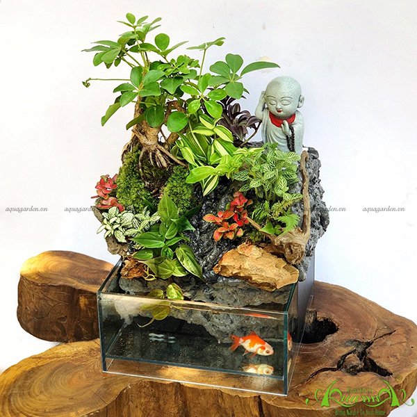 Terrarium 24 - Thác An Nhiên 2