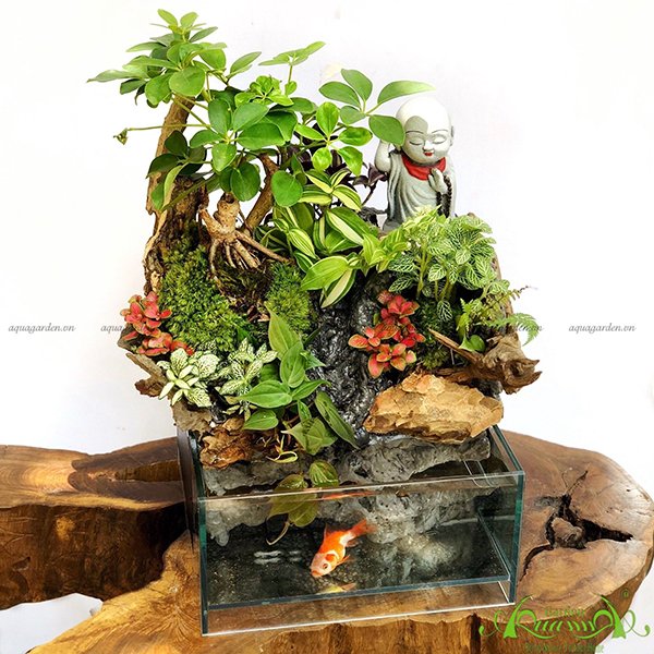 Terrarium 24 - Thác An Nhiên 3