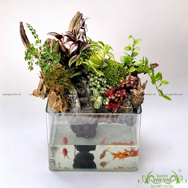 Terrarium 22 - Thác Nước 2