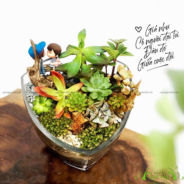 Terrarium 21 - Hành Trình Tìm Hạnh Phúc
