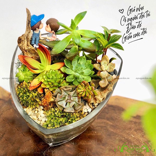 Terrarium 21 - Hành Trình Tìm Hạnh Phúc 2