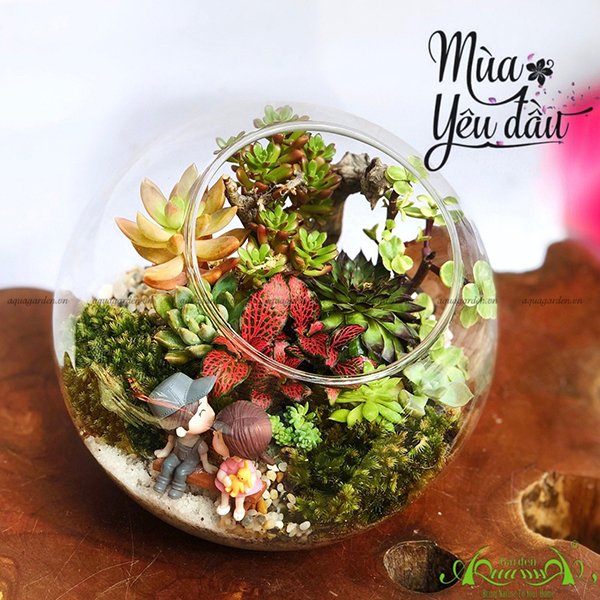 Terrarium 13 - Mùa Yêu Đầu