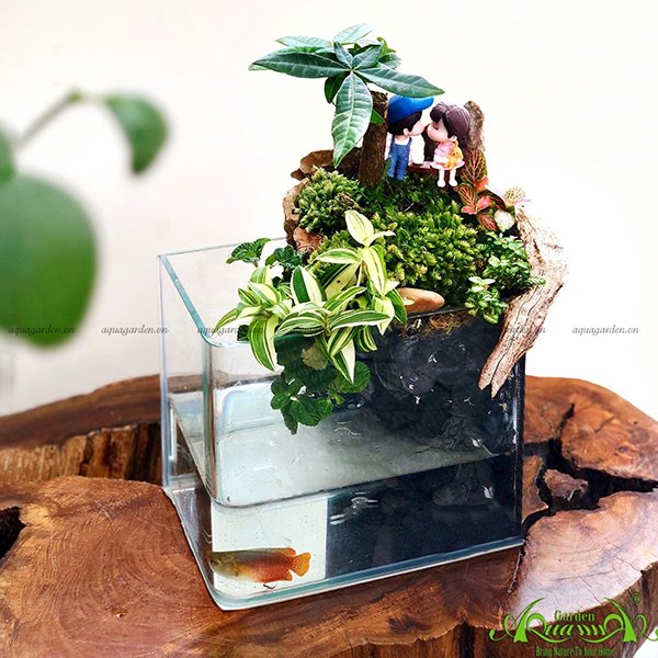 Terrarium 06 - Ánh Nắng Của Anh 2