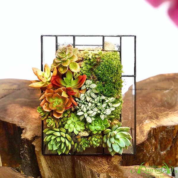 Terrarium 04 -  LIFE is beautiful 3