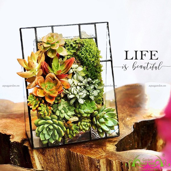 Terrarium 04 - LIFE is beautiful