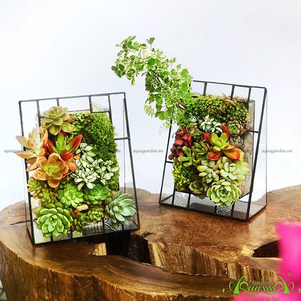 Terrarium 03 - Bức Tranh Thiên Nhiên 2