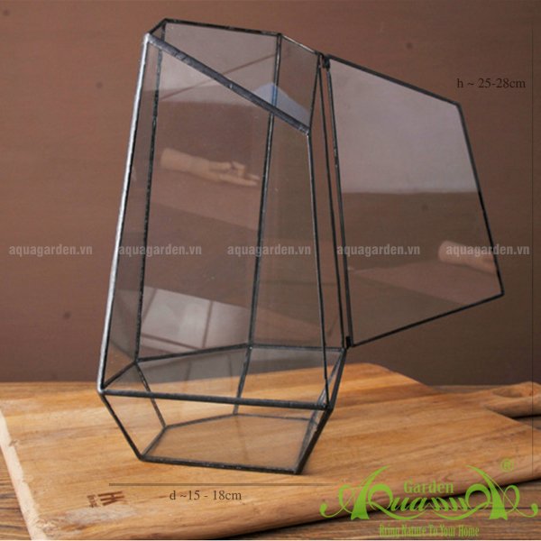Ngũ Giác Nắp - TT Đa Giác 3