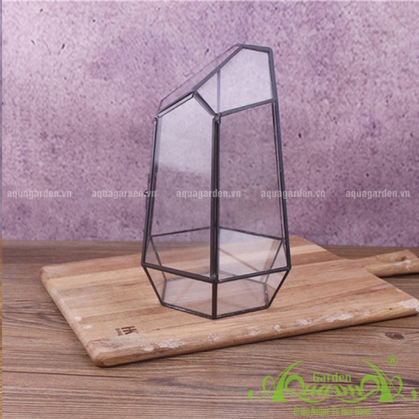 Lục Giác Nắp - TT Đa Giác 3
