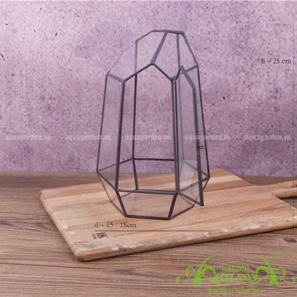 Lục Giác Nắp - TT Đa Giác 2