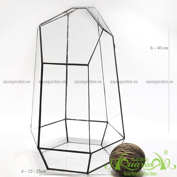 Lục Giác KHỦNG LONG - TT Đa Giác 2