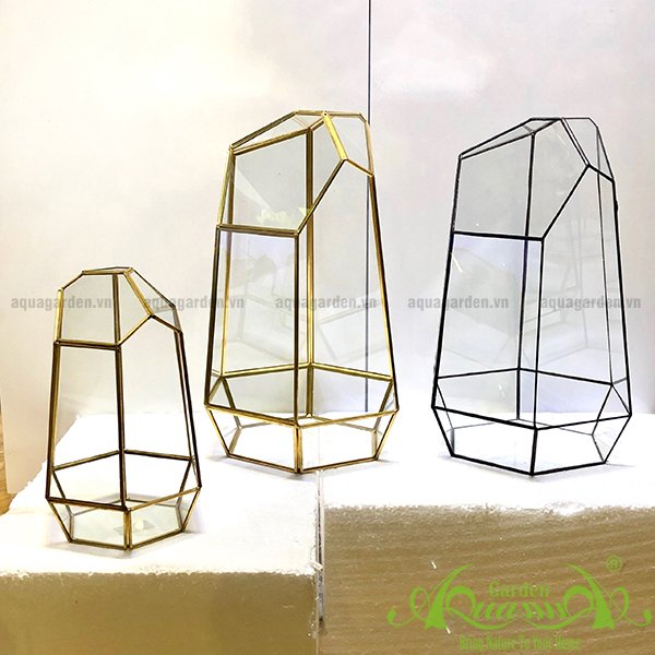 Lục Giác KHỦNG LONG GOLD - TT Đa Giác 2