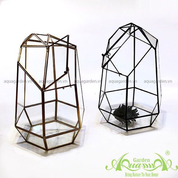 Lục Giác Nắp Đại - TT Đa Giác 2
