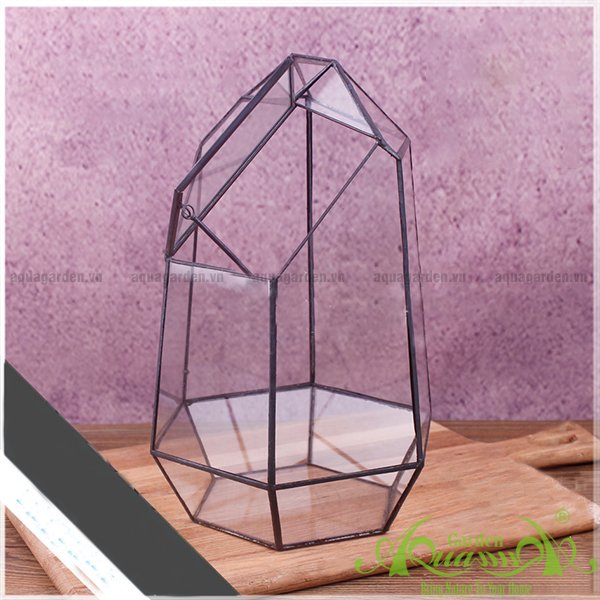 Lục Giác Nắp Đại - TT Đa Giác