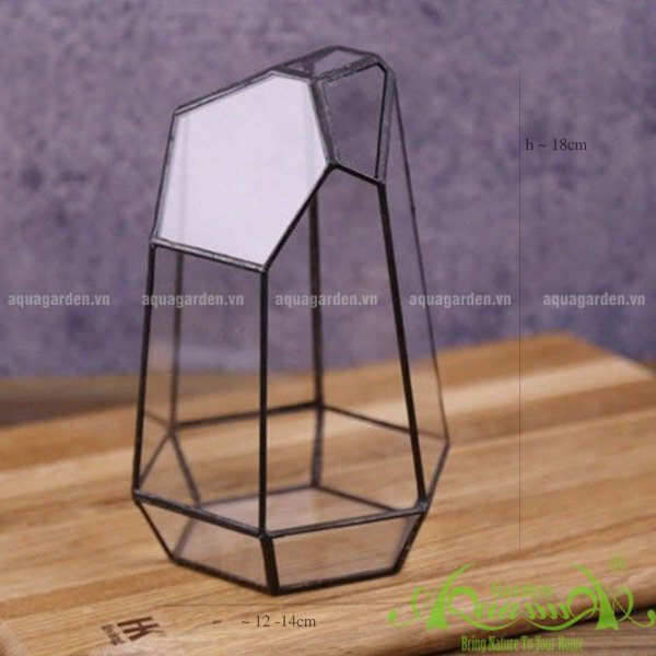 Lục Giác - TT Đa Giác 3