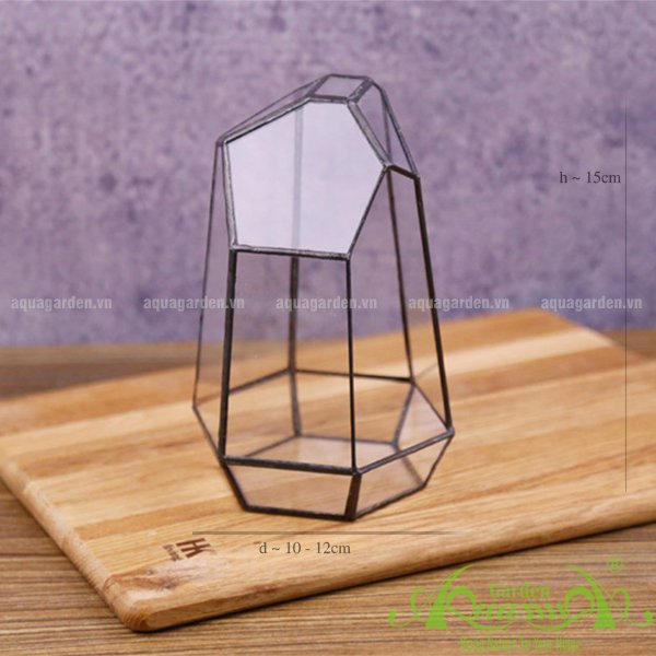 Lục Giác - TT Đa Giác 2