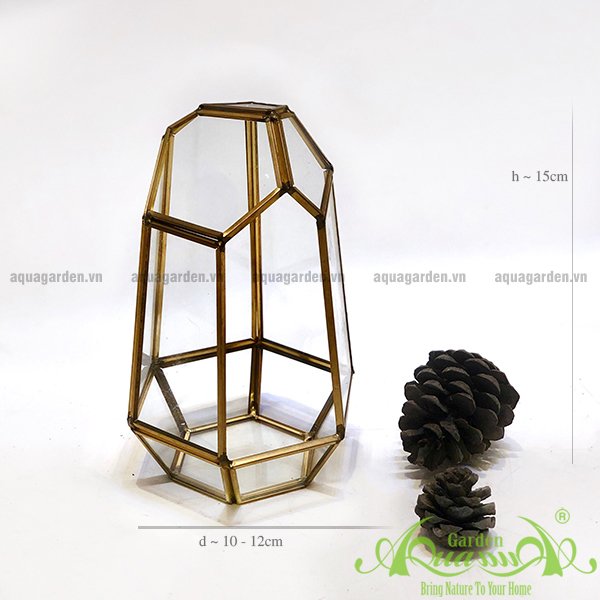 Lục Giác GOLD - TT Đa Giác 2