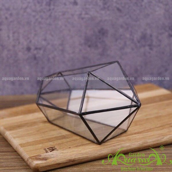 Lục Giác 2 Chóp Ngang - TT Đa Giác 2