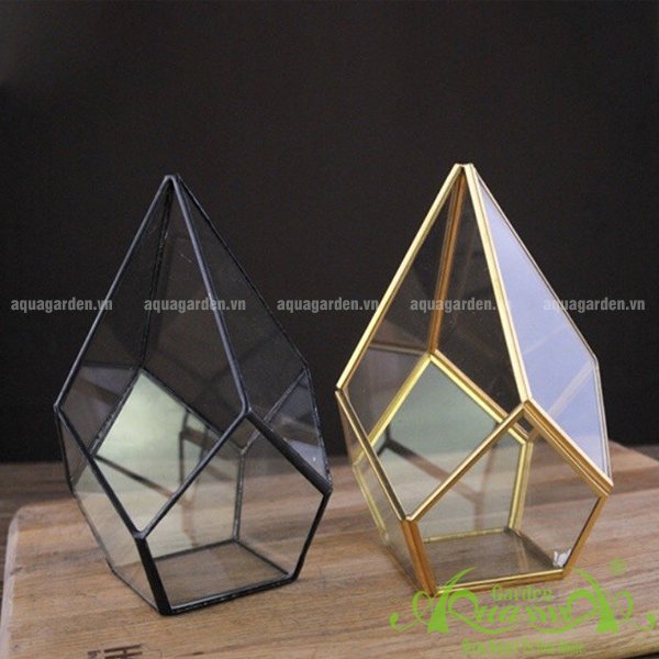 Tứ Giác Chóp GOLD - TT Đa Giác 2