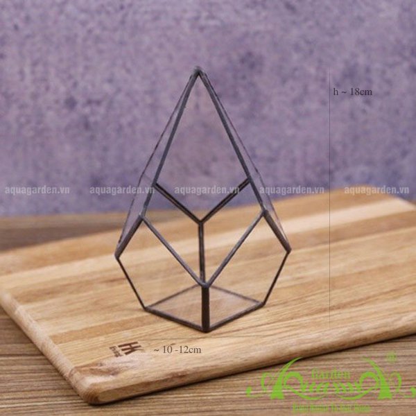 Tứ Giác Chóp - TT Đa Giác 2