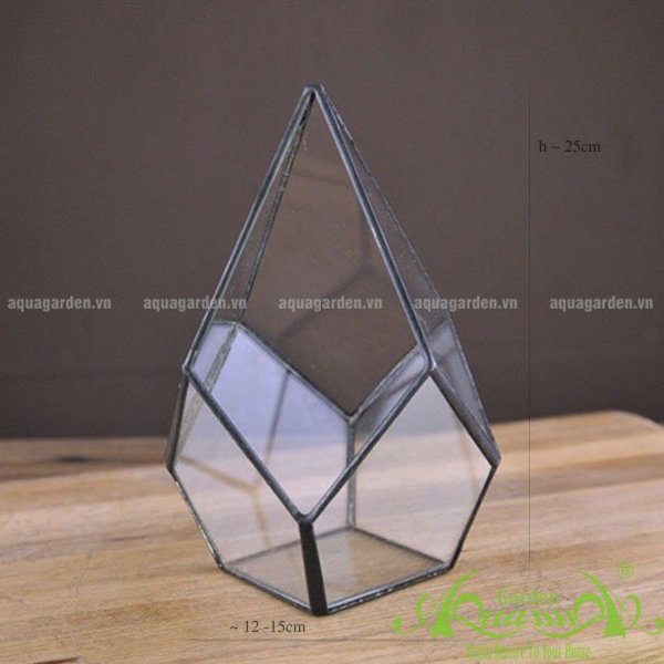 Tứ Giác Chóp - TT Đa Giác 3