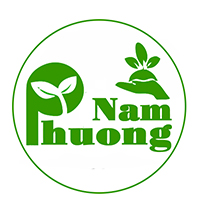 Hạt Giống Phương Nam