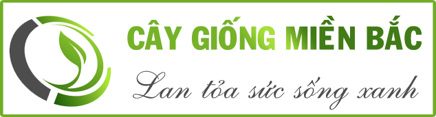 Nông Nghiệp Miền Bắc