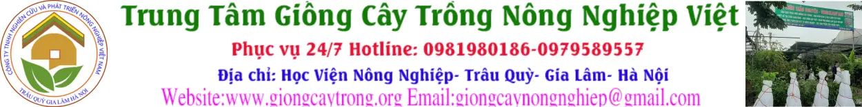 Ảnh bìa Trung tâm Giống cây trồng Nông Nghiệp Việt