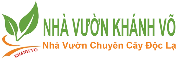 NHÀ VƯỜN KHÁNH VÕ