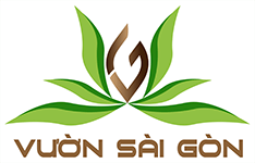 Vườn Sài Gòn - Siêu Thị Vật Tư Nông Nghiệp