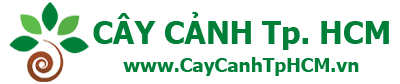 Cây Cảnh TPHCM - Vựa Cây Kiểng & Công Trình