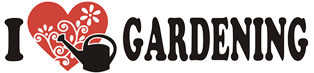 I Love Gardening (ILG) - Vườn Cây Cảnh Bình Tân